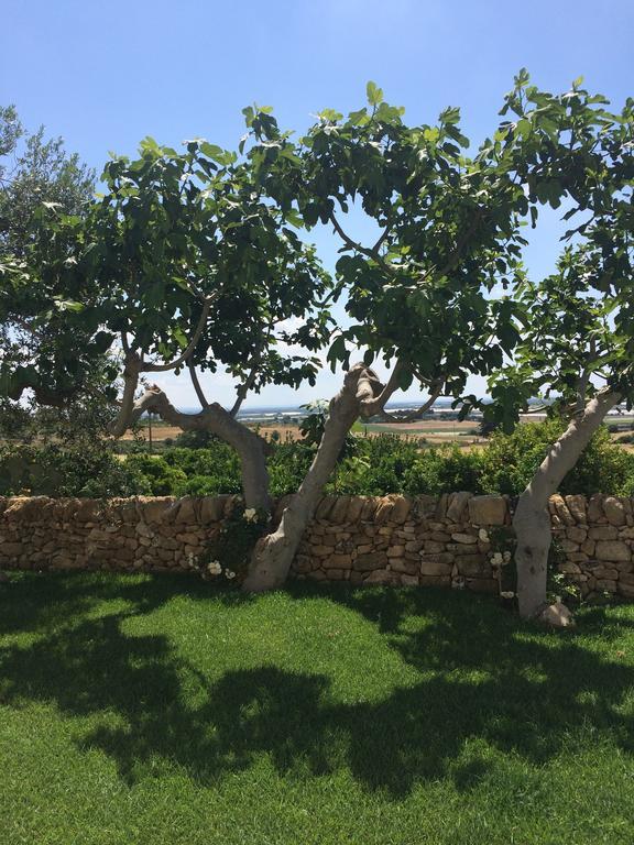 カステッラネータ Trullo Del Cavaliere Delle Gravineヴィラ エクステリア 写真